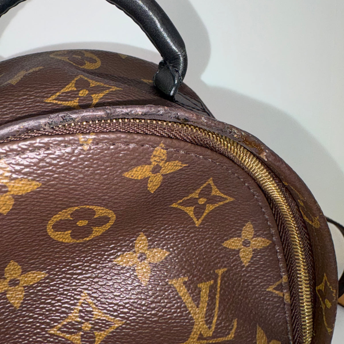 LV Palm Springs Mini
