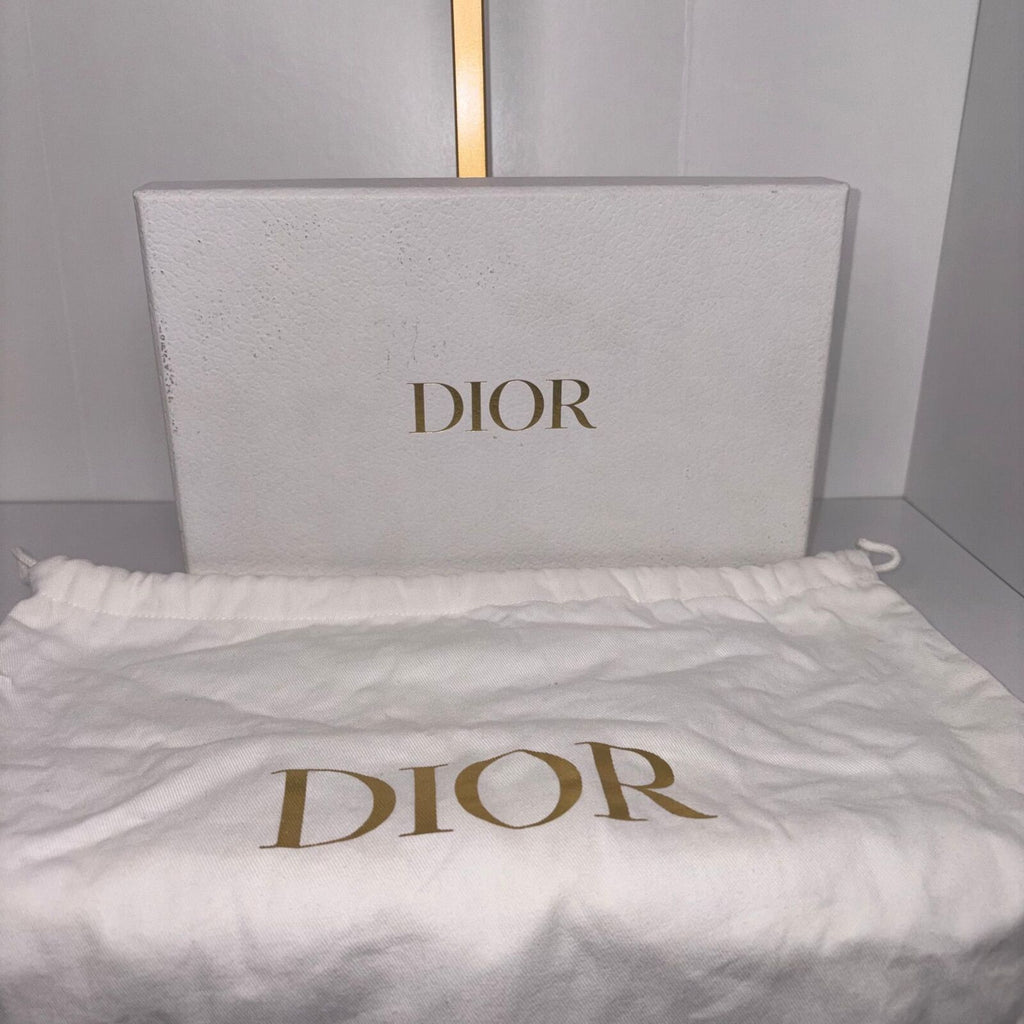 Dior Saddle Belt Bag