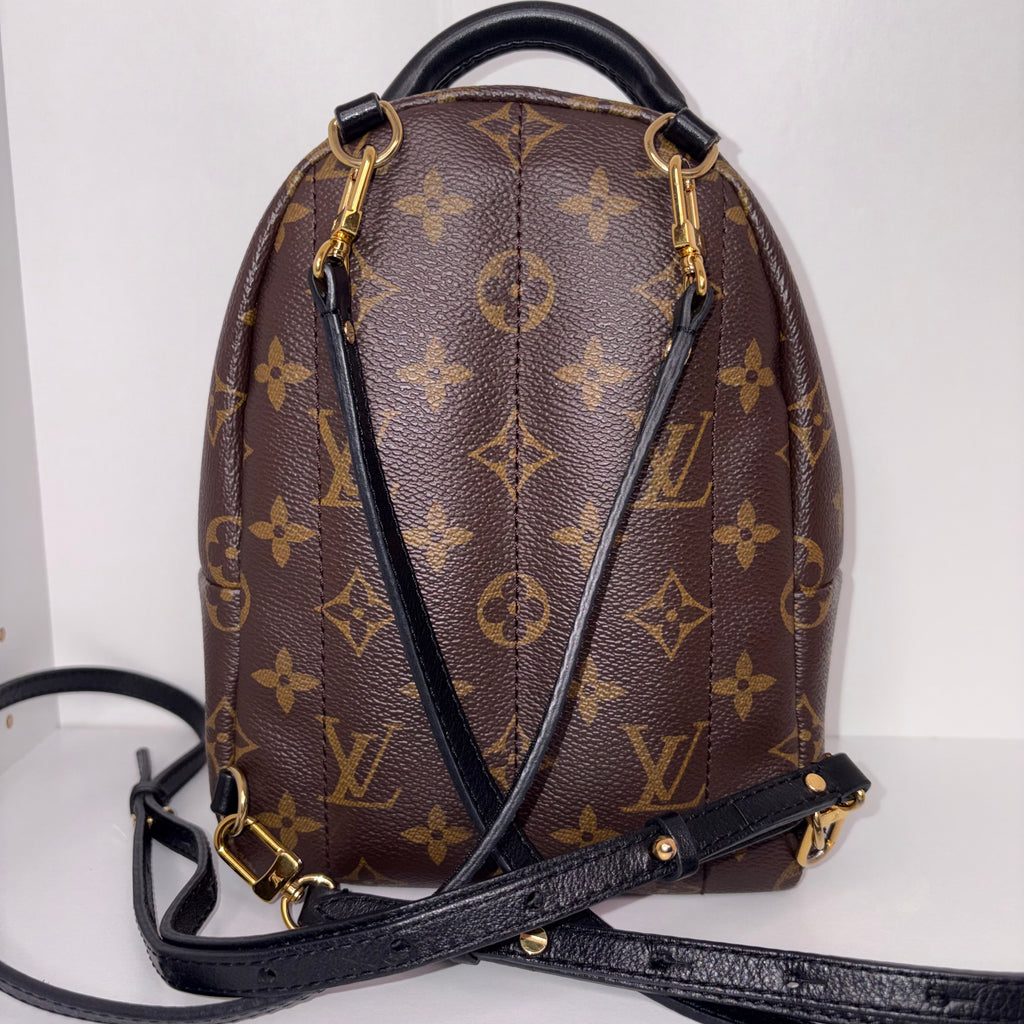 LV Palm Springs Mini
