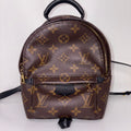 LV Palm Springs Mini