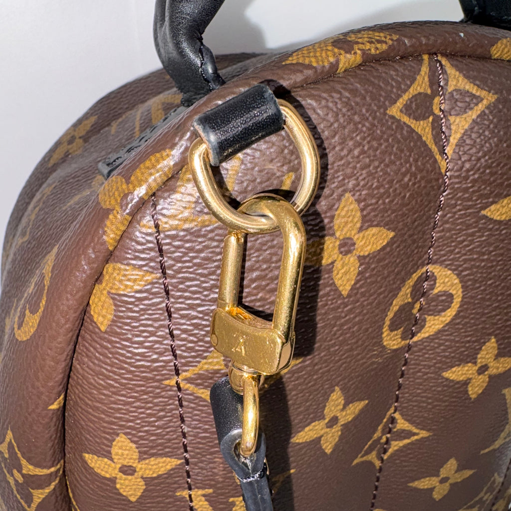 LV Palm Springs Mini