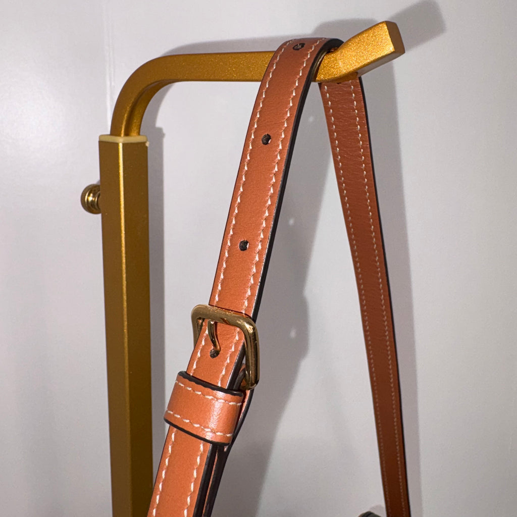 Celine Triomphe Camera Bag