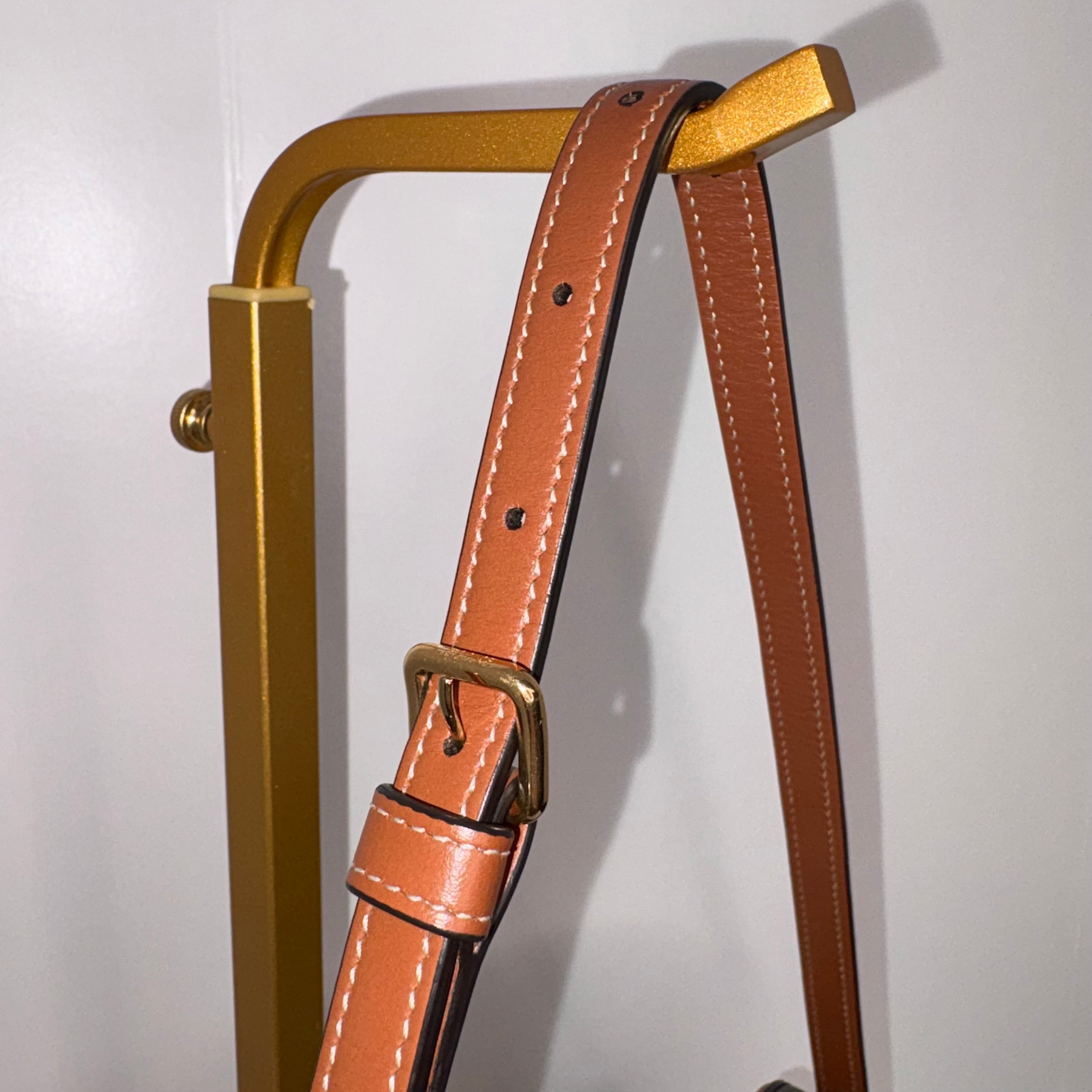 Celine Triomphe Camera Bag