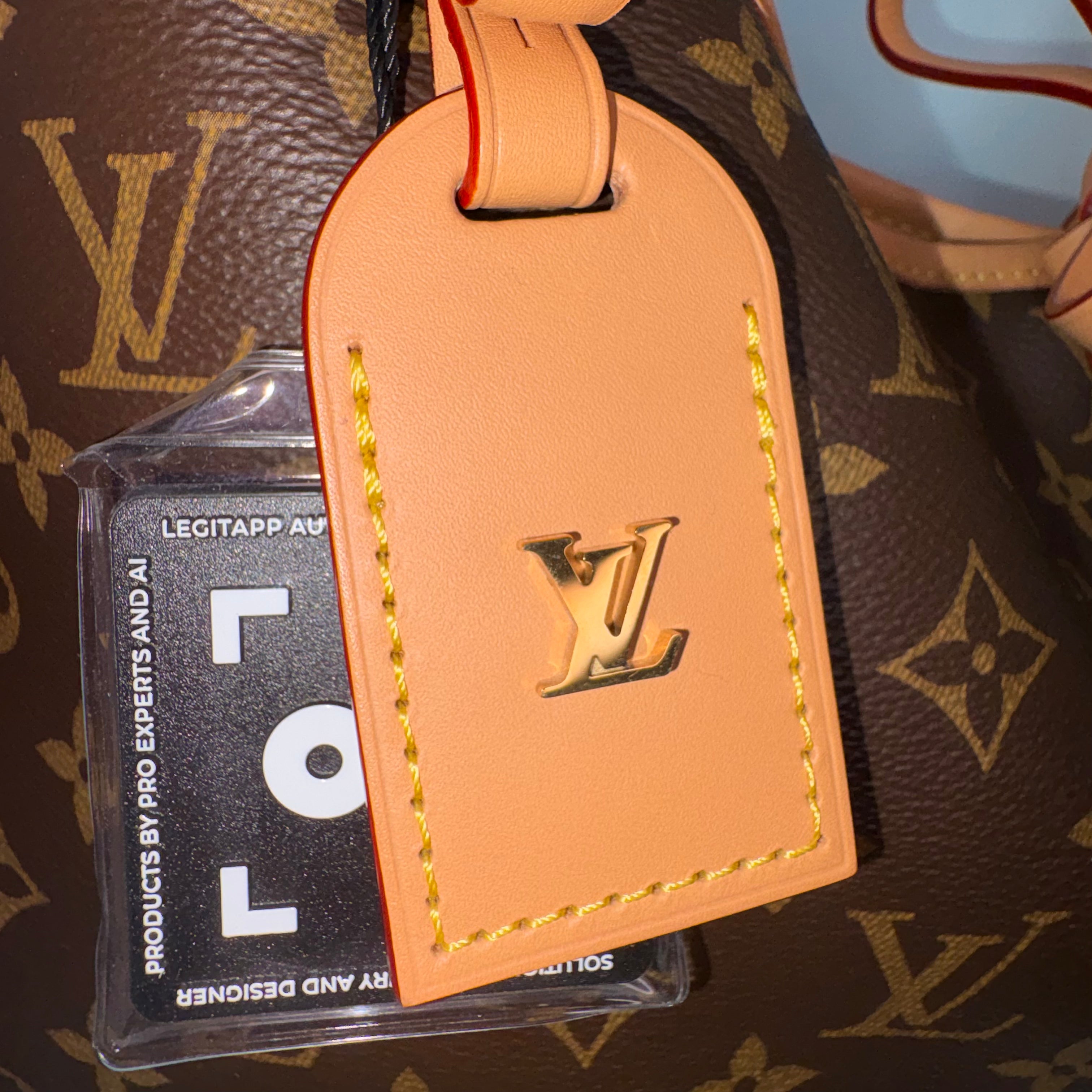 LV Carryall MM