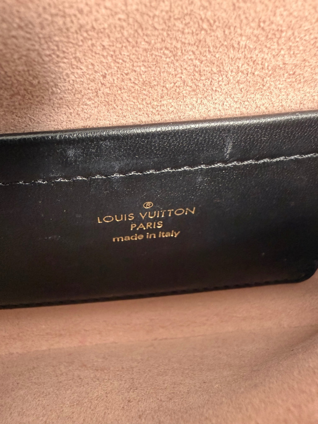 Louis Vuitton Coussin Pochette